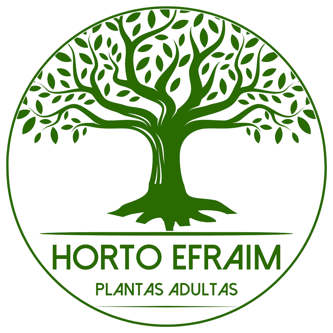 8 - LOGO VERDE