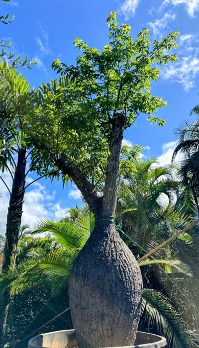 WhatsApp Image 2025-08-19 at 12.09.52