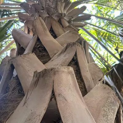 WhatsApp Image 2025-08-19 at 12.36.40